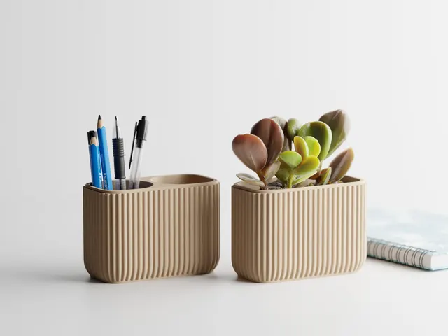 Gerippte Organizer in Sand mit Stiften und Sukkulente